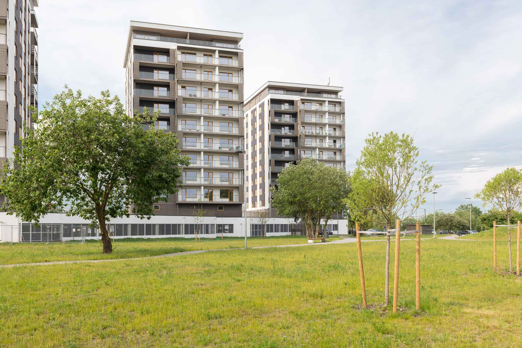 DSC_4334_huge_1_11zon